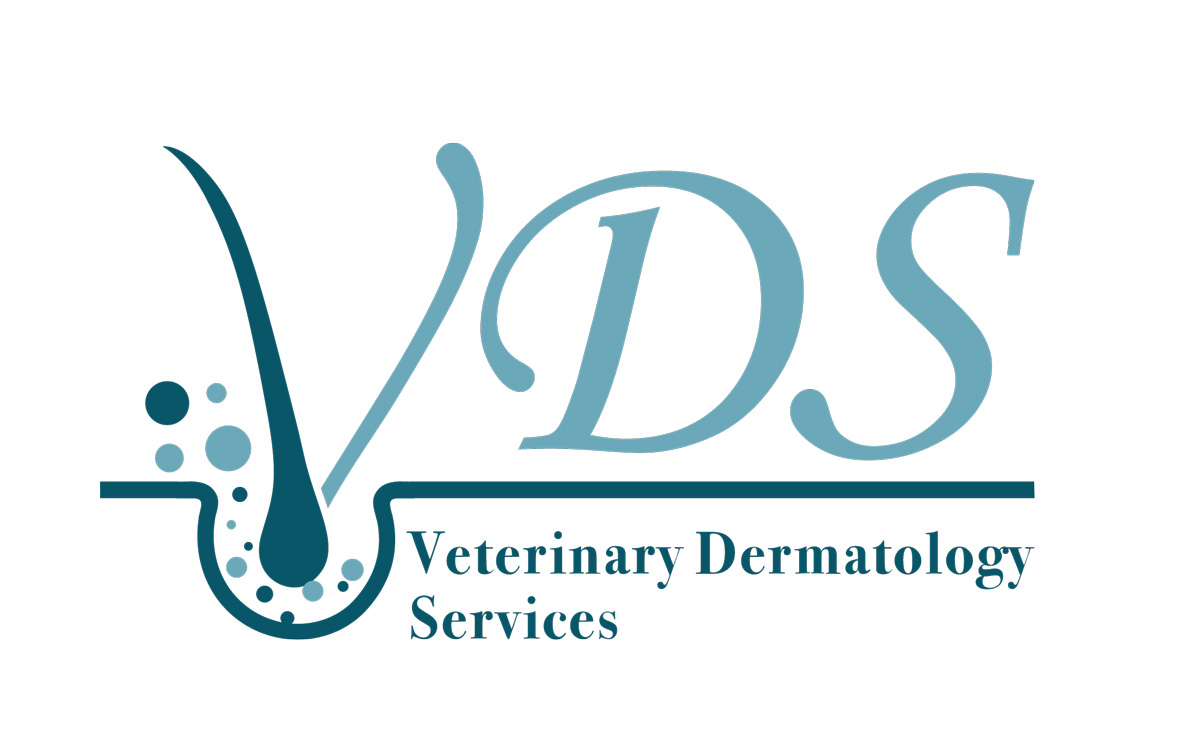 Veterinary Dermatology Services Auckland, New Zealand